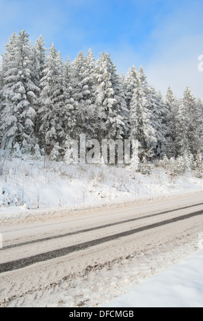 Una strada è neve-legato nel bosco invernale Foto Stock