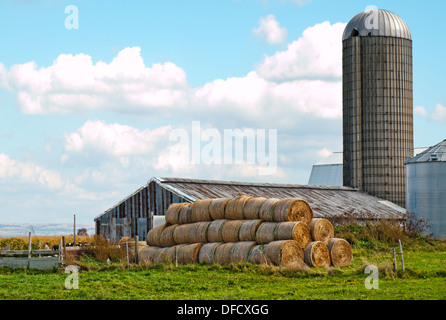 Azienda agricola in mohawk valley, new york Foto Stock