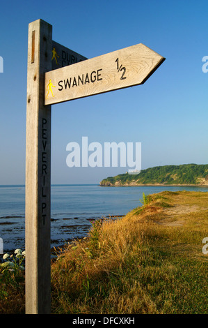 UK,Dorset,Swanage,Testa Durlston visto dalla costa sud-ovest di percorso: Peveril Point Foto Stock