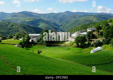 San Lourenzo de Pacios, Pedrafita do Cebreiro, Lugo, Galizia, Spagna Foto Stock