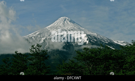 Il Vulcano Lanin sul confine di Cile e Argentina in Patagonia settentrionale Foto Stock