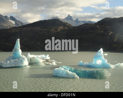 Iceberg sul Lago di grigio nel Parco Nazionale di Torres del Paine Cile Foto Stock