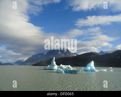 Iceberg sul Lago di grigio nel Parco Nazionale di Torres del Paine Cile Foto Stock