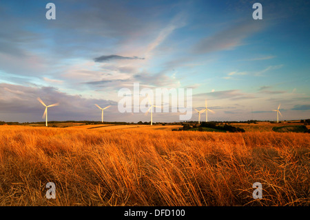 UK,South Yorkshire,Penny Hill Wind Farm & Terreni agricoli vicino svincolo 32 della M1 nel South Yorkshire Foto Stock