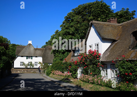 Con il tetto di paglia vecchia casa frisone in Keitum, isola di Sylt, Schleswig-Holstein, Germania Foto Stock