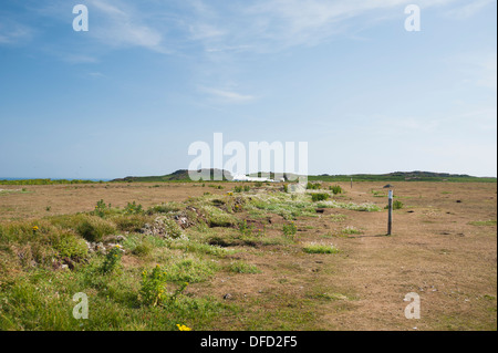 Il maso dalla pianura settentrionale, Skokholm, South Pembrokeshire, Wales, Regno Unito Foto Stock