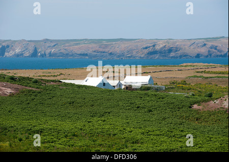 La Fattoria, Skokholm Island, South Pembrokeshire, Wales, Regno Unito Foto Stock