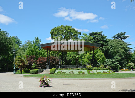 Estate afosa nel parco della città Foto Stock