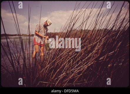 Il personale dell'EPA del Gulf Breeze Laboratory è in viaggio in una palude salata. Il biologo della pesca Marlin Tagatz sta conducendo ricerche nell'area per studiare l'ecosistema locale, concentrandosi sul rapporto tra la palude salata e la fauna selvatica circostante. Foto Stock