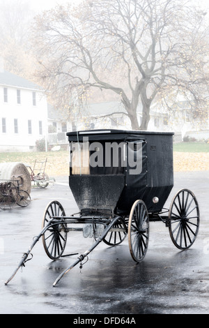 Buggy sulla fattoria Amish, Lanesboro, Minnesota, Stati Uniti d'America Foto Stock