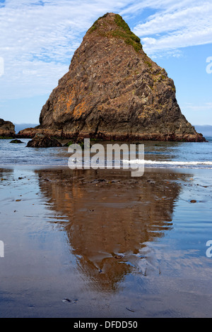 Roccia Whaleshead riflette nelle sabbie della spiaggia Whaleshead nel sud della Oregon a nord della città di Brookings. Foto Stock