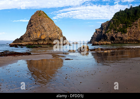 Roccia Whaleshead riflette nelle sabbie della spiaggia Whaleshead nel sud della Oregon a nord della città di Brookings. Foto Stock