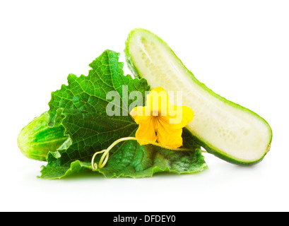 Cumulo di fresco verde cetrioli con foglie e fiori di colore giallo. Posto su uno sfondo bianco. Close-up Foto Stock
