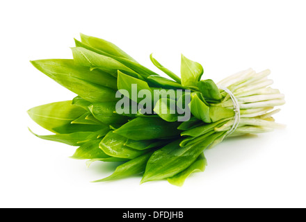 Ramson mazzetto di origine vegetale isolato su sfondo bianco Foto Stock