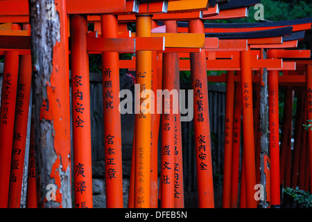 Torii gates (santuario gates) di Nezu shirine Foto Stock