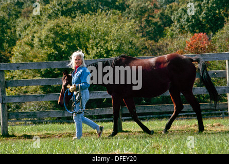 Donna conduce il suo cavallo al pascolo in una bella giornata di caduta, Missouri USA Foto Stock