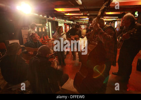 Azione dal Didmarton Bluegrass Festival 2013 Foto Stock