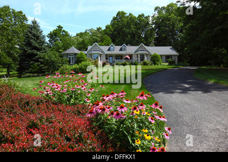 Fiore viola (Echinacea purpurea) e altri fiori estivi nel giardino di fronte al bungalow in un elegante sobborgo residenziale, Gettysburg, Pennsylvania, Stati Uniti Foto Stock