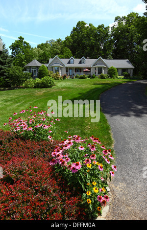 Fiore viola (Echinacea purpurea) e altri fiori estivi nel giardino di fronte al bungalow in un elegante sobborgo residenziale, Gettysburg, Pennsylvania, Stati Uniti Foto Stock