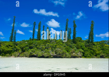 Baia de Oro, Île des Pins, Nuova Caledonia, Francia Foto Stock