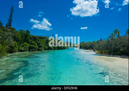 Baia de Oro, Île des Pins, Nuova Caledonia, Francia Foto Stock