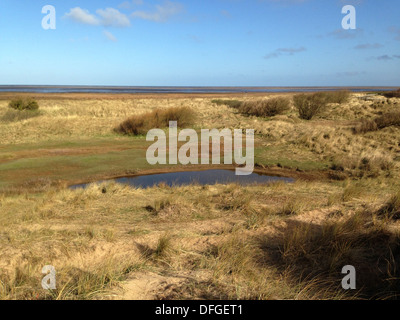 Stagno su riserva naturale Southport Lancashire Foto Stock