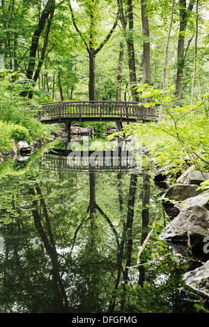 Sentiero Natura con ponte in legno sul torrente nel bosco. Stoccolma, Svezia. Foto Stock