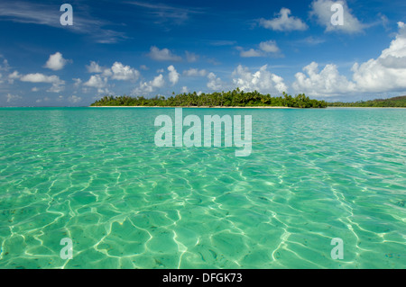 Palm tree coperto motu (isola sabbiosa) nelle acque turchesi della laguna, Huahine, Polinesia Francese Foto Stock