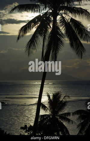 Palme profilarsi da un cielo tempestoso, con l'isola di Moorea dietro, Pape'ete, Tahiti, Polinesia Francese Foto Stock