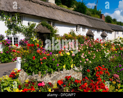 Fiori in mostra al di fuori del cottage con il tetto di paglia a Branscombe Devon UK Foto Stock