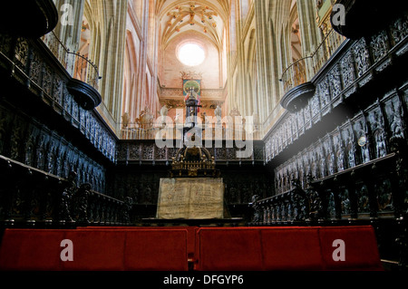 Il coro e organo in Santa Maria Cathedal di Astorga. Astorga. Castilla y Leon, Spagna Foto Stock