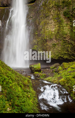 Cascate Multnomah in Columbia River Gorge, Oregon, Stati Uniti d'America Foto Stock