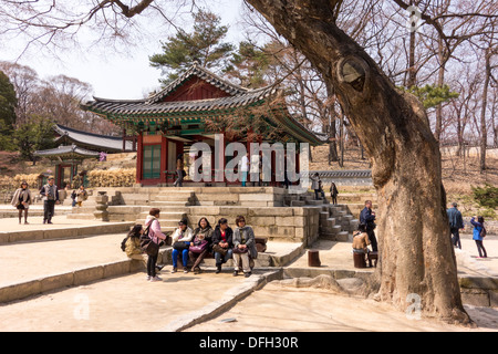 Turisti che si godono giornata soleggiata in Changdeokgung Royal Palace, Seoul, Corea Foto Stock