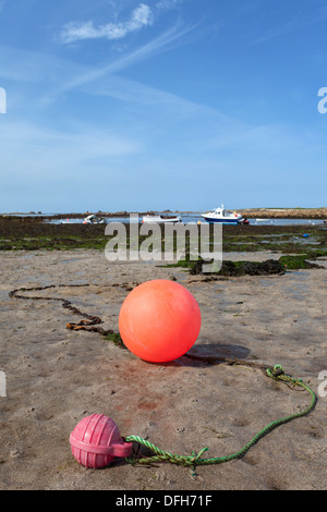 Boa rosso sulla spiaggia Periglis St Agnes Isole Scilly Foto Stock