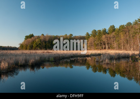 Il fiume di Ipswich in Topsfield dove si snoda attraverso un 2000 acre santuario gestito da Audubon di massa. Foto Stock