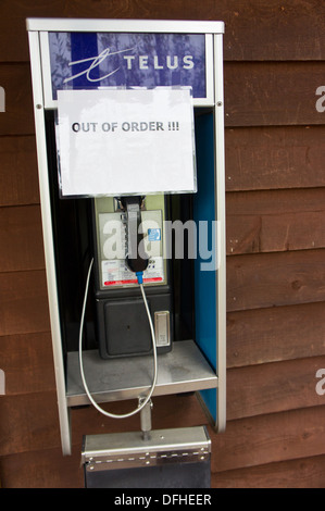 Grey Park Ranch BC Canada Foto Stock