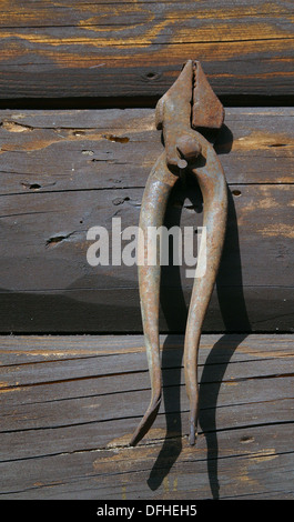 Vecchi strumenti di ruggine su sfondo di legno. Foto Stock