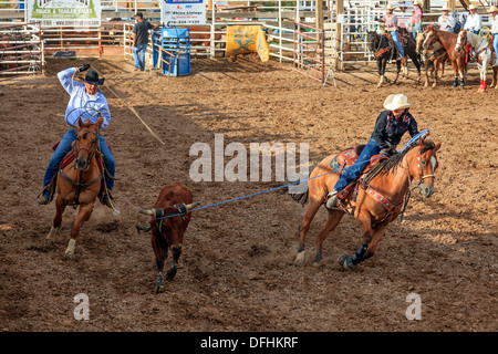 Cowboy e cowgirl lassoing un manzo o vitello a Rimrock rodeo, Grand Junction, Colorado, STATI UNITI D'AMERICA Foto Stock