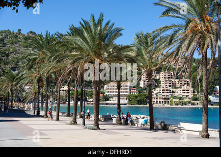 Palme davanti al lungomare a Port de Soller a Maiorca, SPAGNA Foto Stock