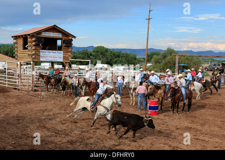 Cowgirl a cavallo, roping un giovane sterzare o vitello a Rimrock rodeo, Grand Junction, Colorado, STATI UNITI D'AMERICA Foto Stock