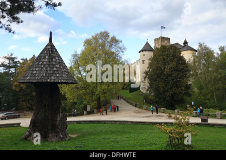 Il castello di Niedzica. Polonia meridionale. Foto Stock
