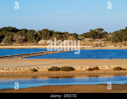 Ses Salines - luogo dove sale marino è prodotto su Formentera, isole Baleari, Spagna Foto Stock