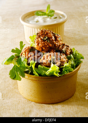 Kebab Kofta con insalata e yogurt Foto Stock