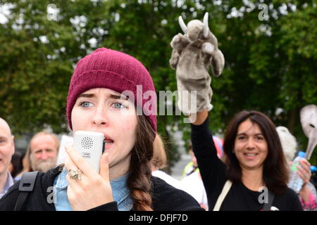 Londra REGNO UNITO, 4 Ott 2013 : manifestanti rally al di fuori di piazza del Parlamento protesta contro il commercio di elefanti e la domanda di essere divieto mondiale in Londra. Vedere Li / Alamy Live News Foto Stock