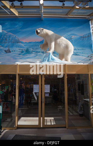 Farcite orso polare su ingresso del supermercato, Longyearbyen, Spitsbergen, Norvegia Foto Stock
