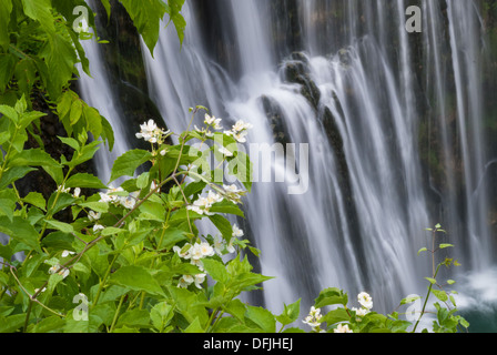 La magnifica cascata nel centro di Jajce, Bosnia Erzegovina Foto Stock