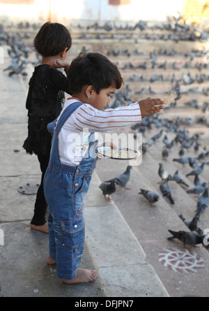 Due giovani bambini alimentare i piccioni in Pushkar,Rajasthan,l'India. Foto Stock