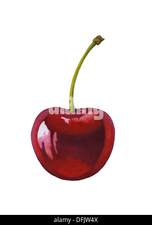 Acquerello cherry isolato su bianco Foto Stock