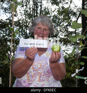 Bowland cadde, Preston, Regno Unito il 6 ottobre, 2013. Onorevole Jane Syms Dal Broughton Business Enterprise College, mostra "Granny Smith " apple Food miles a Bowland Visitor Center Apple giorno con degustazione di apple, identificazione, bancarelle, marmellate e mostarde, presentato dagli amici di Bowland e il faro rotante è sceso. Foto Stock