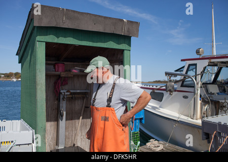 Lobsterman Eric Emmons sul dock di astice in Maine ottenere pronto per pesare, comprare e vendere fresco pescato aragoste per il commercio. Foto Stock